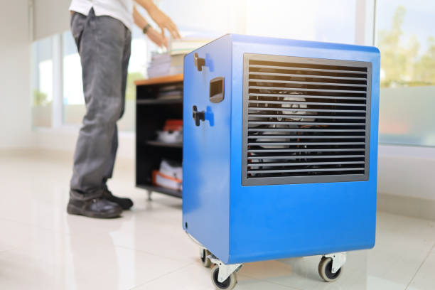 Best Indoor Air Quality Assessment  in Oceanside, NY